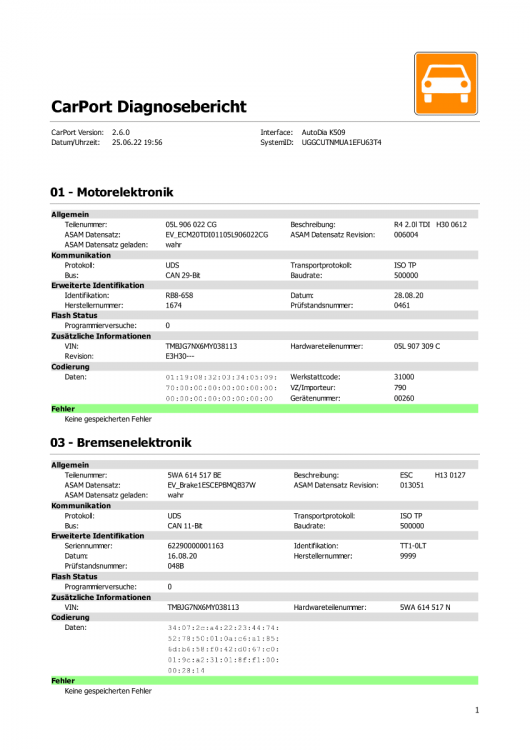 CarPort Diagnosebericht 25062022 Octavia NX-1.png